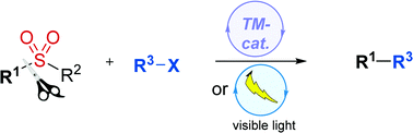 Graphical abstract: Beyond classical sulfone chemistry: metal- and photocatalytic approaches for C–S bond functionalization of sulfones