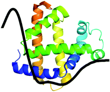 Graphical abstract: Tools and methods for circular dichroism spectroscopy of proteins: a tutorial review