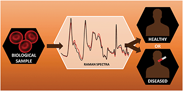 Graphical abstract: Towards development of a novel universal medical diagnostic method: Raman spectroscopy and machine learning