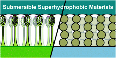 Graphical abstract: The challenges, achievements and applications of submersible superhydrophobic materials