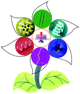 Graphical abstract: 3D printing of functional microrobots