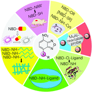 Graphical abstract: NBD-based synthetic probes for sensing small molecules and proteins: design, sensing mechanisms and biological applications