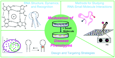 Graphical abstract: Targeting RNA with small molecules: from fundamental principles towards the clinic