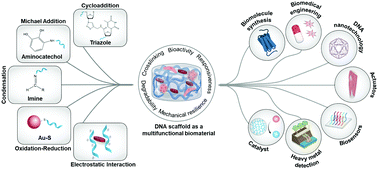 Graphical abstract: Harnessing the physicochemical properties of DNA as a multifunctional biomaterial for biomedical and other applications