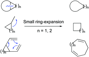 Graphical abstract: Small rings in the bigger picture: ring expansion of three- and four-membered rings to access larger all-carbon cyclic systems