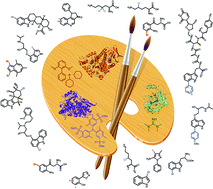 Graphical abstract: Halogenases: a palette of emerging opportunities for synthetic biology–synthetic chemistry and C–H functionalisation