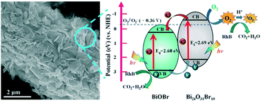 Graphical abstract: Bismuth MOF-derived BiOBr/Bi24O31Br10 heterojunctions with enhanced visible-light photocatalytic performance