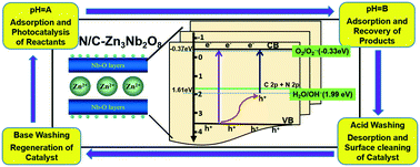 Graphical abstract: pH-Controllable regeneration and visible-light photocatalytic redox of carbon and nitrogen co-doped Zn3Nb2O8 towards degradation of multiple contaminants