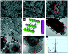 Graphical abstract: Phosphating 2D CoAl LDH anchored on 3D self-assembled NiTiO3 hollow rods for efficient hydrogen evolution