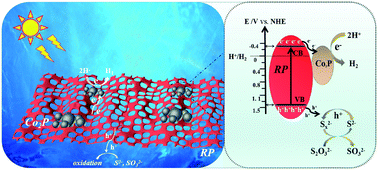 Graphical abstract: In situ synthesis of Co2P-decorated red phosphorus nanosheets for efficient photocatalytic H2 evolution