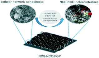 Graphical abstract: Adjustable anchoring of Ni/Co cations by oxygen-containing functional groups on functionalized graphite paper and accelerated mass/electron transfer for overall water splitting