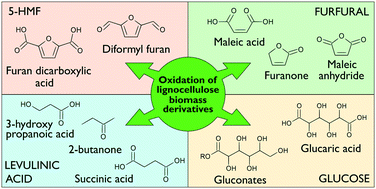 Graphical abstract: Oxidation of lignocellulosic platform molecules to value-added chemicals using heterogeneous catalytic technologies