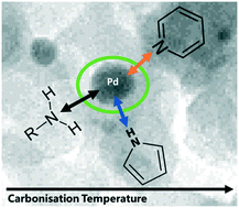 Graphical abstract: Directing nitrogen-doped carbon support chemistry for improved aqueous phase hydrogenation catalysis
