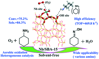 Graphical abstract: Site-specific catalytic activities to facilitate solvent-free aerobic oxidation of cyclohexylamine to cyclohexanone oxime over highly efficient Nb-modified SBA-15 catalysts