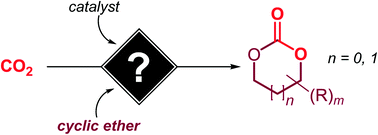 Graphical abstract: Mechanistic guidelines in nonreductive conversion of CO2: the case of cyclic carbonates