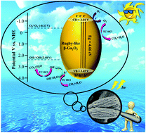 Graphical abstract: Photocatalytic degradation of tetracycline hydrochloride over rugby-like β-Ga2O3 with a 3D hierarchically assembled porous structure for environmental remediation
