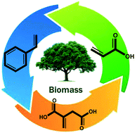 Graphical abstract: Advances in catalytic production processes of biomass-derived vinyl monomers