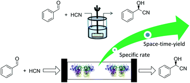 Graphical abstract: Probing batch and continuous flow reactions in organic solvents: Granulicella tundricola hydroxynitrile lyase (GtHNL)