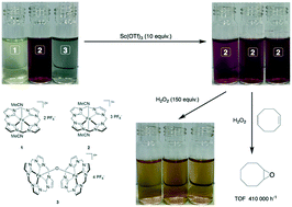 Graphical abstract: Pushing the limits of activity and stability: the effects of Lewis acids on non-heme iron–NHC epoxidation catalysts