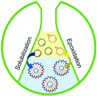 Graphical abstract: Ionic liquid surfactants as multitasking micellar catalysts for epoxidations in water