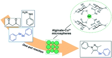 Graphical abstract: Alginate–copper microspheres as efficient and reusable heterogeneous catalysts for the one-pot synthesis of 4-organylselanyl-1H-pyrazoles