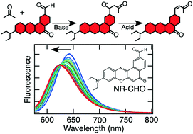 Graphical abstract: Fluorescence spectroscopy studies of crossed aldol reactions: a reactive Nile red dye reveals catalyst-dependent product formation