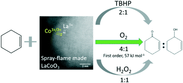 Graphical abstract: Selective cyclohexene oxidation with O2, H2O2 and tert-butyl hydroperoxide over spray-flame synthesized LaCo1−xFexO3 nanoparticles