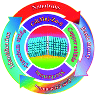 Graphical abstract: Twin engineering of photocatalysts: a minireview