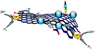 Graphical abstract: Modification of eosin Y and cobalt molecular catalyst system with reduced graphene oxide for enhanced photocatalytic hydrogen production