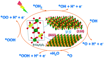 Graphical abstract: Kinetics mechanism insights into the oxygen evolution reaction on the (110) and (022) crystal facets of β-Cu2V2O7