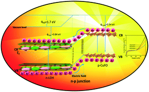 Graphical abstract: Dynamic charge transfer through Fermi level equilibration in the p-CuFe2O4/n-NiAl LDH interface towards photocatalytic application