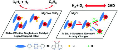 Graphical abstract: Ligand-coordinated Ir single-atom catalysts stabilized on oxide supports for ethylene hydrogenation and their evolution under a reductive atmosphere