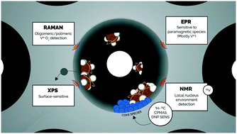 Graphical abstract: Non-oxidative dehydrogenation of isobutane over supported vanadium oxide: nature of the active sites and coke formation