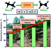 Graphical abstract: Al2O3-Supported W–V–O bronze catalysts for oxidative dehydrogenation of ethane