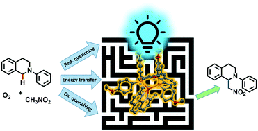 Graphical abstract: Ligand electronic fine-tuning and its repercussion on the photocatalytic activity and mechanistic pathways of the copper-photocatalysed aza-Henry reaction