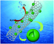 Graphical abstract: NiFe2O4 hollow nanoparticles of small sizes on carbon nanotubes for oxygen evolution