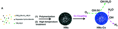 Graphical abstract: Interface-tuned Mo-based nanospheres for efficient oxygen reduction and hydrogen evolution catalysis