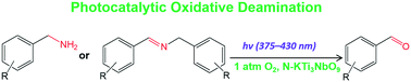 Graphical abstract: Efficient photocatalytic oxidative deamination of imine and amine to aldehyde over nitrogen-doped KTi3NbO9 under purple light