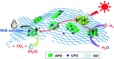Graphical abstract: Tuning the electronic structure of Ag3PO4-based composites through a graphene oxide mediator for enhanced photocatalytic activity