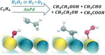 Graphical abstract: Room temperature and atmospheric pressure aqueous partial oxidation of ethane to oxygenates over AuPd catalysts