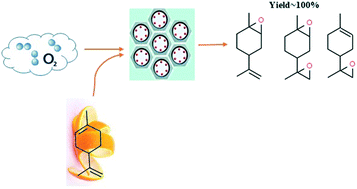 Graphical abstract: Kinetic investigation of aerobic epoxidation of limonene over cobalt substituted mesoporous SBA-16