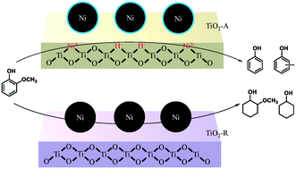 Graphical abstract: Identification of electron-rich mononuclear Ni atoms on TiO2-A distinguished from Ni particles on TiO2-R in guaiacol hydrodeoxygenation pathways