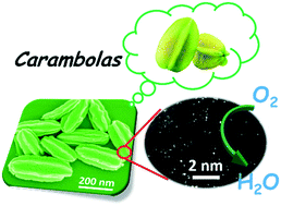 Graphical abstract: Pyrolysis-driven synthesis of nanoscale carambola-like carbon decorated with atomically dispersed Fe sites toward efficient oxygen reduction reaction