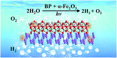 Graphical abstract: Bifunctional black phosphorus: coupling with hematite for Z-scheme photocatalytic overall water splitting