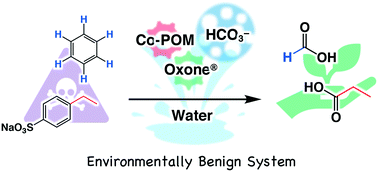 Graphical abstract: A cobalt-substituted Keggin-type polyoxometalate for catalysis of oxidative aromatic cracking reactions in water