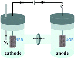 Graphical abstract: Highly efficient urea-anodizing to promote the electrochemical nitrogen reduction process