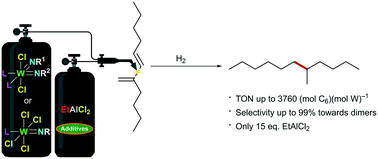 Graphical abstract: Selective dimerisation of 1-hexene mediated by aluminium alkyl chloride-activated tungsten imido complexes