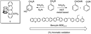 Graphical abstract: Insight into the chemoselective aromatic vs. side-chain hydroxylation of alkylaromatics with H2O2 catalyzed by a non-heme imine-based iron complex