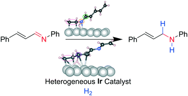 Graphical abstract: Chemoselective heterogeneous iridium catalyzed hydrogenation of cinnamalaniline