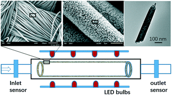 Graphical abstract: K, Na and Cl co-doped TiO2 nanorod arrays on carbon cloth for efficient photocatalytic degradation of formaldehyde under UV/visible LED irradiation